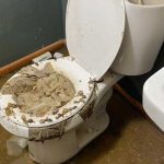 Common Household Items That Should Not Go Down Your Toilet