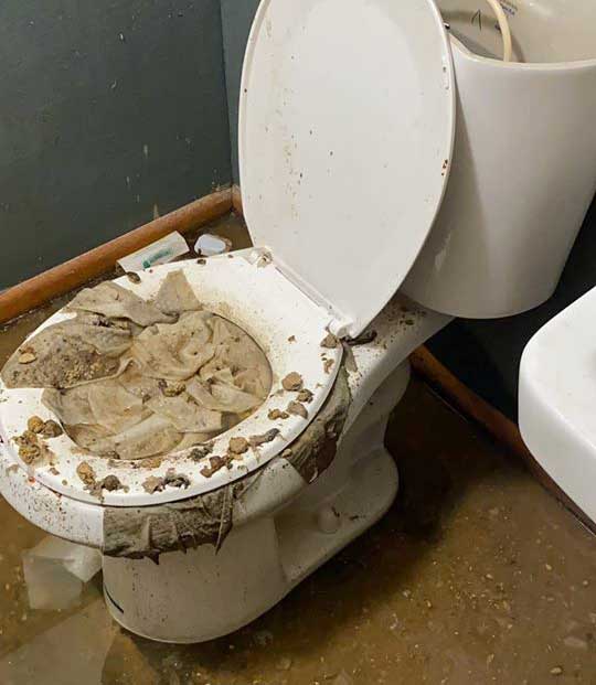 Common Household Items That Should Not Go Down Your Toilet