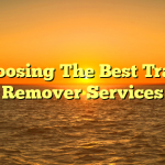 Choosing The Best Trash Remover Services