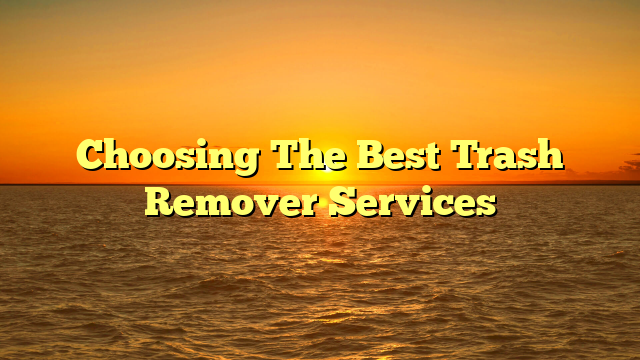 Choosing The Best Trash Remover Services