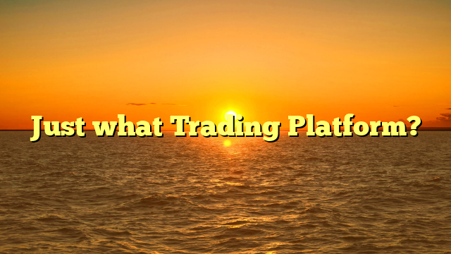Just what Trading Platform?
