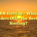 PBN Hosting – Which Providers Offer the Best PBN Hosting?