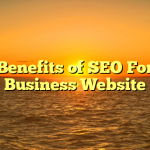 The Benefits of SEO For The Business Website