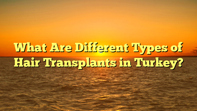 What Are Different Types of Hair Transplants in Turkey?