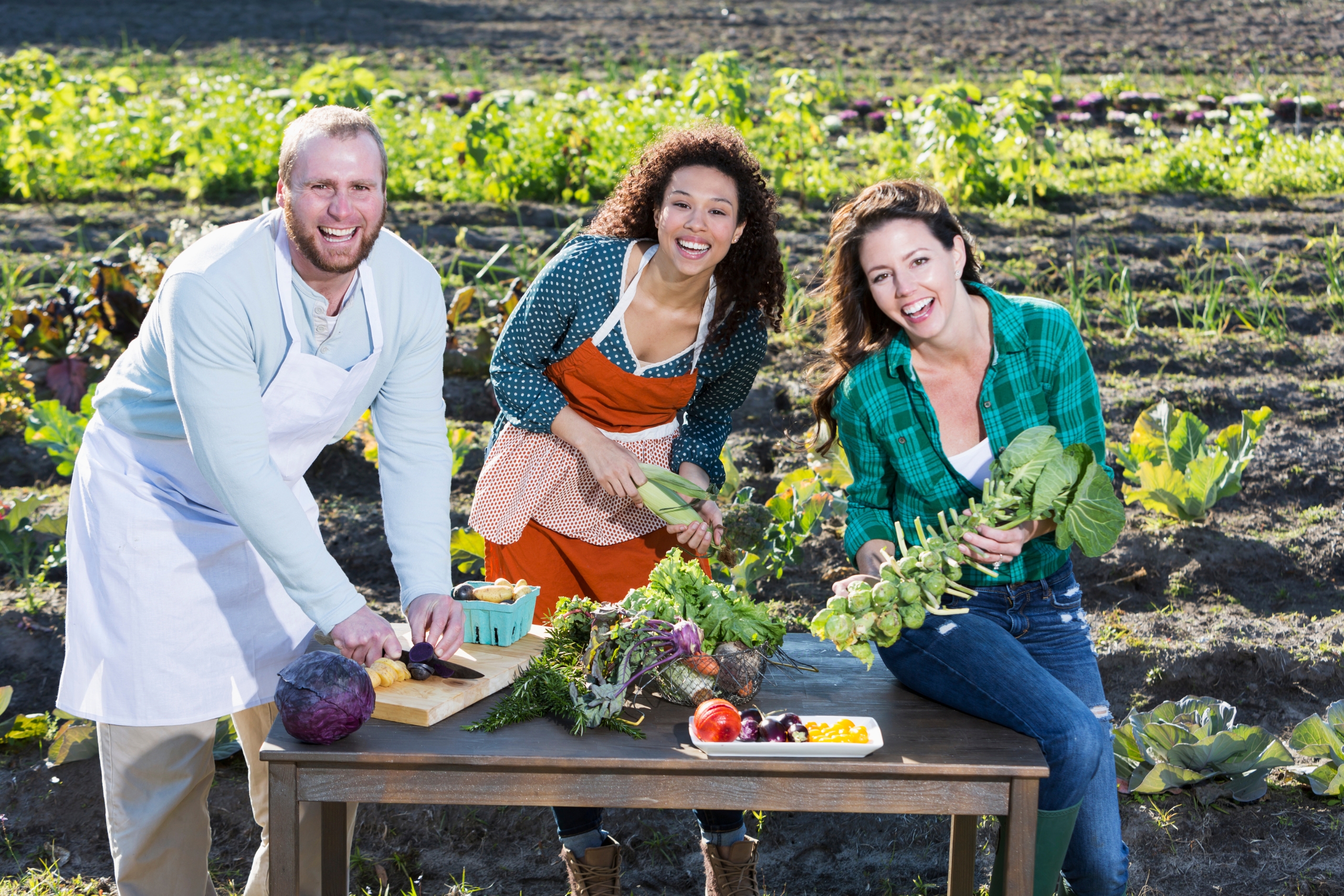 Farm-to-Table Dining in Fine Restaurants Elevating Fresh Ingredients into Culinary Experiences